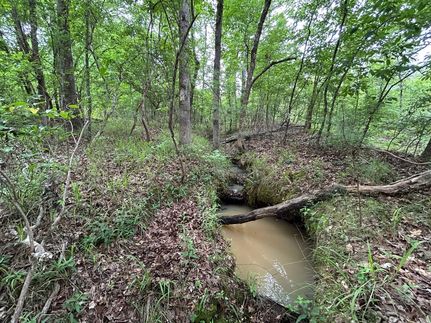 Recreational Property for sale in Putnam County, Georgia