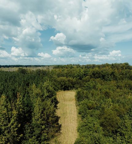 Undeveloped Land for sale in Lamar County, Alabama