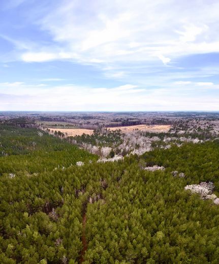 Undeveloped Land for sale in Simpson County, Mississippi