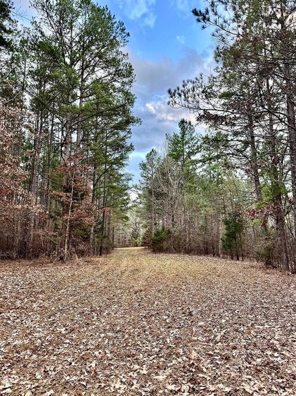 Property for sale in Benton County, Mississippi