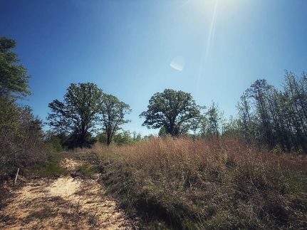 Undeveloped Land for sale in Holmes County, Mississippi