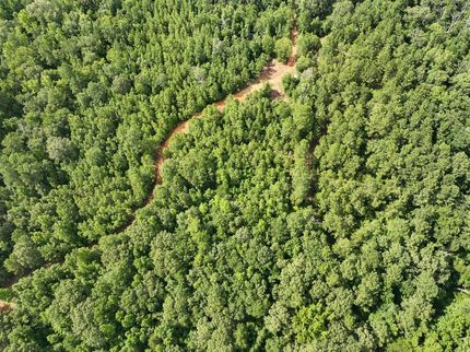 Property for sale in Houston County, Texas