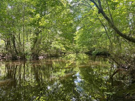 Undeveloped Land for sale in Washington County, Georgia