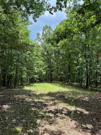 Property for sale in Carroll County, Mississippi