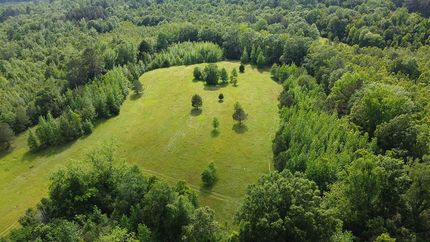 Property for sale in Jefferson Davis County, Mississippi