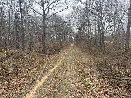 Hunting Land for sale in Fayette County, Illinois
