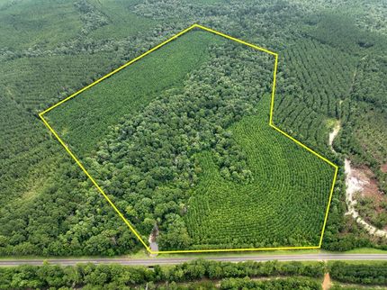 Hunting Land for sale in Newton County, Texas