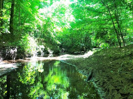 Recreational Property for sale in Putnam County, Georgia