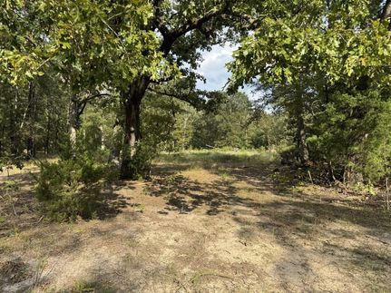 Undeveloped Land for sale in Lamar County, Texas