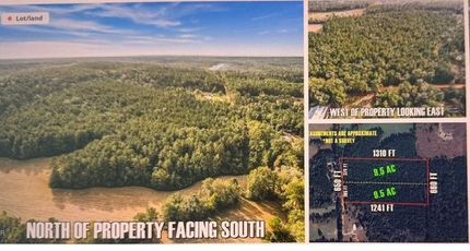 Undeveloped Land for sale in Washington County, Florida