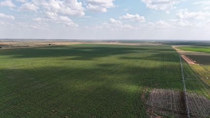 Property in Gaines County, Texas