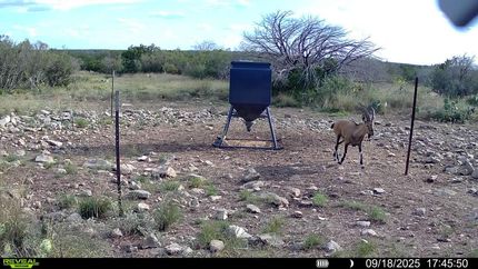 Ranch Property for sale in Val Verde County, Texas