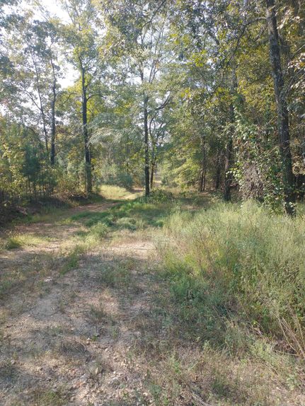 Timberland Property for sale in Saint Clair County, Alabama