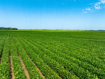 Recreational Property for sale in Lawrence County, Arkansas