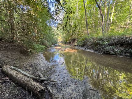 Timberland Property for sale in Oconee County, South Carolina