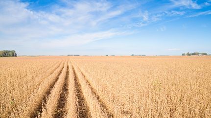 Property in Buena Vista County, Iowa