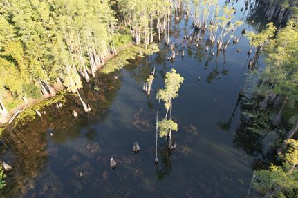 Lakefront Property for sale in Jackson County, Florida