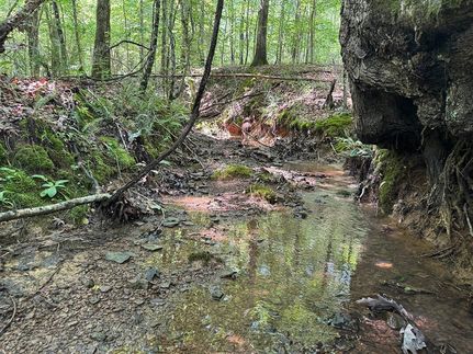 Property for sale in Lafayette County, Mississippi