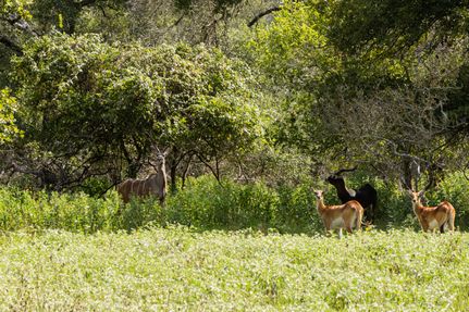 Property for sale in Wilson County, Texas