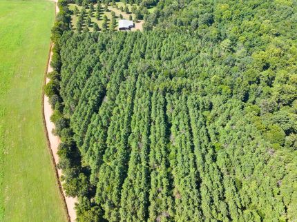 Property for sale in Sevier County, Arkansas