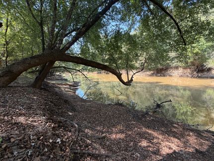 Riverfront Property for sale in Hardeman County, Tennessee