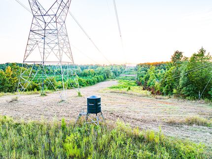 Property for sale in Monroe County, Mississippi