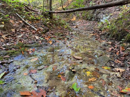 Property for sale in Searcy County, Arkansas