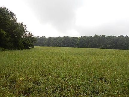 Hunting Land for sale in Barry County, Michigan