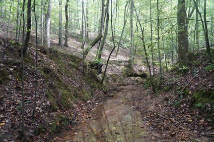 Property for sale in Marion County, Alabama