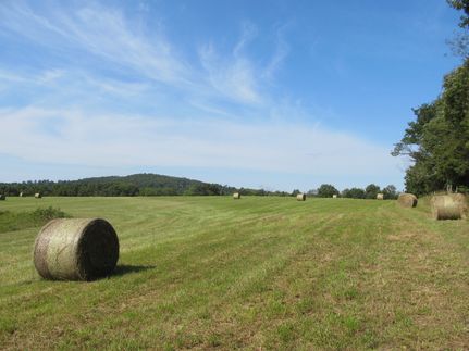 Property for sale in Madison County, Arkansas