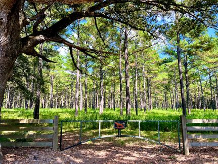 Hunting Land for sale in Thomas County, Georgia