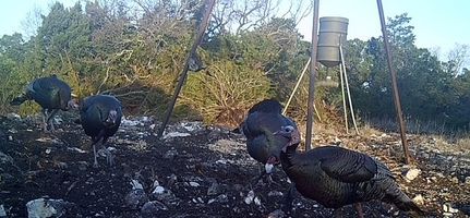 Property for sale in Val Verde County, Texas