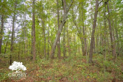 Property for sale in Wilkes County, Georgia