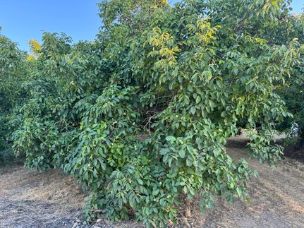 Property for sale in Butte County, California