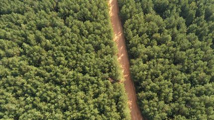 Property for sale in Union Parish, Louisiana