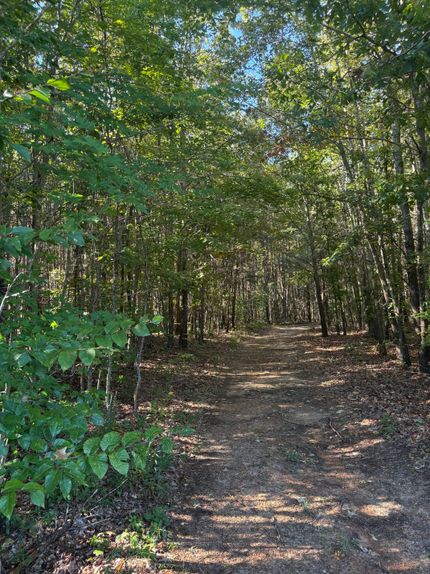 Hunting Land for sale in Buckingham County, Virginia