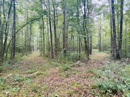 Recreational Property for sale in Amite County, Mississippi