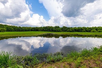 Property for sale in Saline County, Illinois