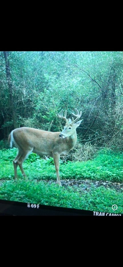 Property in Westmoreland County, Pennsylvania