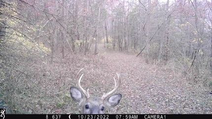 Property in Fillmore County, Minnesota