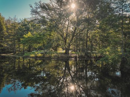 Undeveloped Land for sale in Jefferson County, Florida