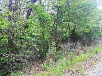 Property for sale in Benton County, Missouri