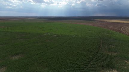 Property in Parmer County, Texas