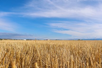 Residential Property for sale in Fergus County, Montana