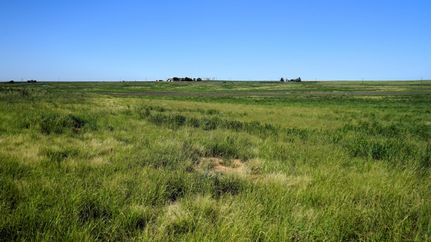 Property for sale in Lamb County, Texas