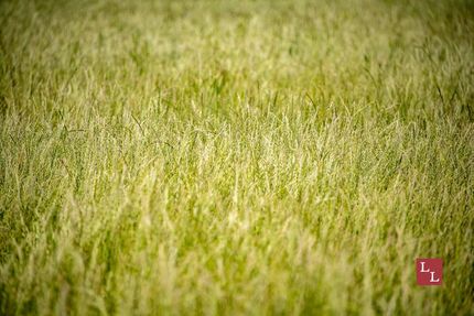 Property for sale in Jefferson County, Oklahoma