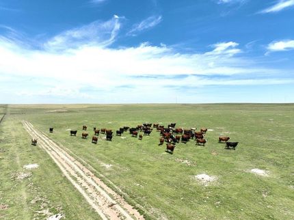 Property in Cheyenne County, Colorado