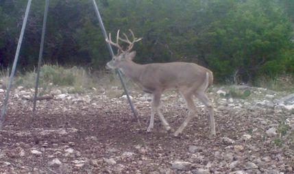 Property for sale in Edwards County, Texas