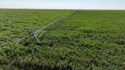 Property for sale in Cimarron County, Oklahoma