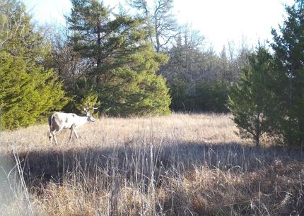 Property for sale in Lamar County, Texas